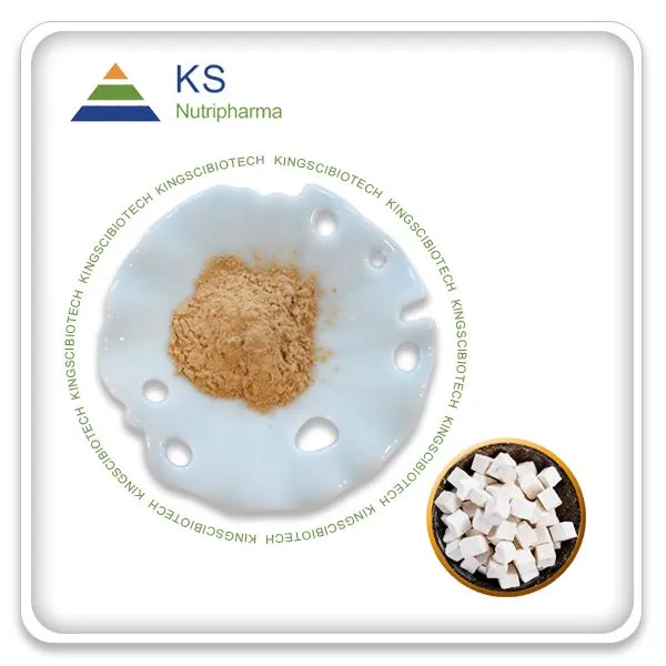 Poria Cocos Sclerotium Özü