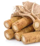product-138-157 product-138-157