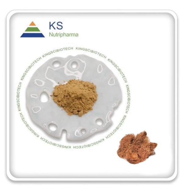 Mısır İpek Özütü