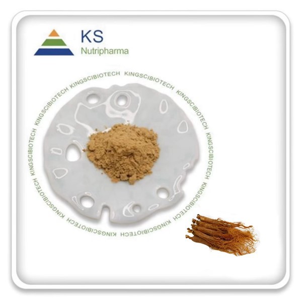 Kırmızı Ginseng Özütü
